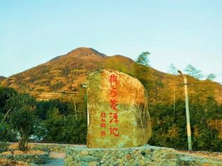 泉州安溪芦田：梅占制茶技艺入非遗，百年手艺绽新辉