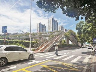 杏前路内林公交站人行天桥“半过街”改“全过街”