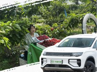 乡村振兴新路径①|一平台“链”起十六市！齐鲁农超扎根百县网罗山东全域好品