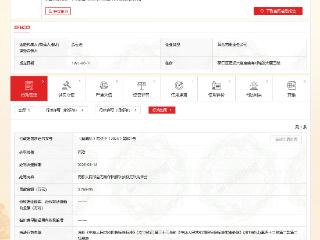 武汉城建发展集团因投标违规被罚