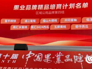 福山大樱桃十次蝉联中国樱桃县域品牌价值“榜首”