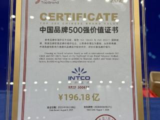 英科医疗上榜TopBrand 2025中国品牌500强 位居细分行业首位