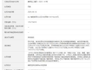 河北东明石化国和能源有限公司旗下加油站因偷税被罚178万