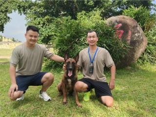 北京首都航空安保部青岛中队深入海口某部开展宠物狗习性及应急处置知识学习活动
