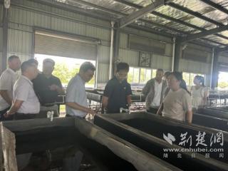 湖北中医药大学这场培训促进共生产业链再升级
