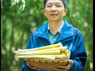 【山里山外贵州人】华家刚：让鲜笋出大山，带希望回家乡