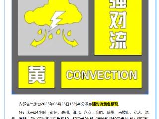 局地超11级雷暴大风！安徽发布强对流黄色预警