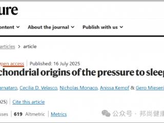 为啥越累越想睡？《Nature》最新发现：线粒体 “喊累” 时，睡眠就来了