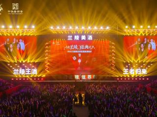 2025兰陵美酒群星盛典演唱会举办圆满成功！