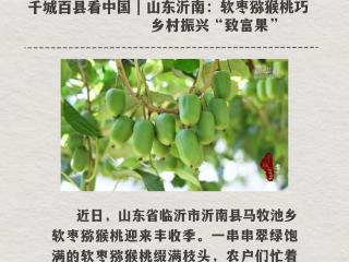 跟着央媒看沂南第（23）期：带着沂蒙精神上大学