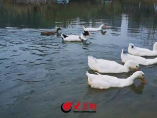二十四节气·处暑丨岚山餐桌的秋日序曲