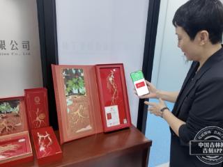 通化好参有"身份" 一码溯源保真品