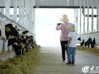 泰沂山下“畜”力强：潍坊临朐筑就畜牧业高质量发展样板