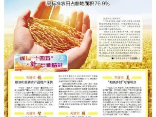 江西粮食产量连续12年超430亿斤
