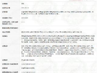 国电建投内蒙古能源有限公司违规被罚629.42万元