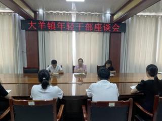 东平县大羊镇召开年轻干部座谈会