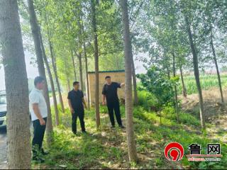 德州市宁津县津城街道：“三位一体”筑牢防汛“安全堤坝”