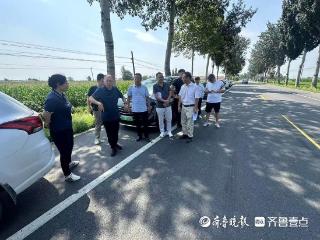 133公里国省道焕新，青岛8个国省道养护大中修工程竣工验收