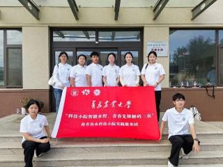 青岛农业大学团委“麦芒”实践服务团：青春先锋助力科技小院“最后一公里”破壁实录