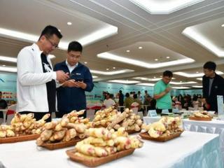 乡村振兴新路径③|品牌集聚效应凸显，齐鲁农超擦亮山东好品新名片