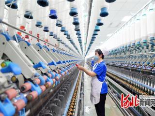 石家庄特色产业集群提档升级聚势能