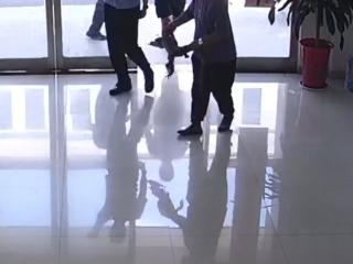钓鱼钓到扬子鳄 广德警民合力救助