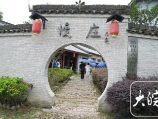红星照耀中国•千里跃进大别山|不打药，只种草！ “共生”模式产出放心茶