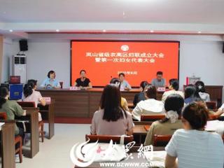 岚山省级农高区妇联成立大会暨第一次妇女代表大会顺利召开