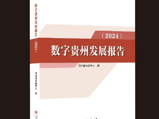2024年全省数字产业规模达2549.4亿元！《数字贵州发展报告（2024）》发布