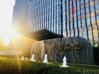 中国石化参建全球最大绿氢/绿氨综合体项目
