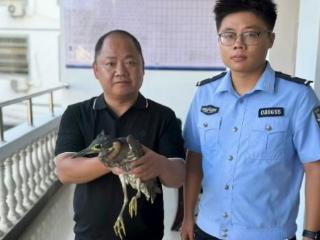 “神秘来客”获救！万年县首次救助国家一级保护动物——海南鳽