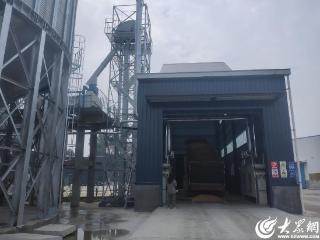 潍坊临朐：一片玉米片打通“鹅企”共赢路