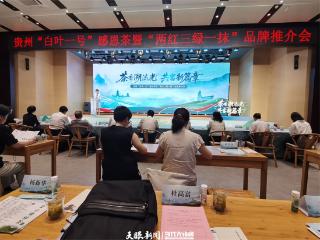 贵州“白叶一号”感恩茶暨“两红三绿一抹”品牌推介会在杭州举行