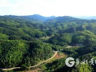赤水马鹿村：文旅融合赋能 传统村落焕发新生机