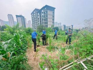 济南市中区十六里河：城管进社区，整治小区私占绿地乱象