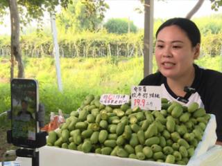 从“愁卖”到“爆单”，莒县政府直播平台助企拓销路