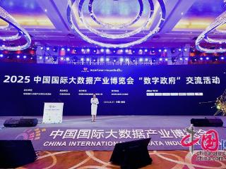 2025数博会“数字政府”交流活动举行 共探数据要素赋能数字政府建设路径
