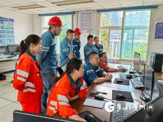 贵州金元鸭溪电厂完成输煤DCS系统改造
