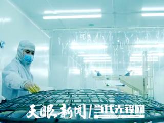 绿色引擎动力足 “三个大抓”成效显｜铜仁上半年生产总值增长5.9％