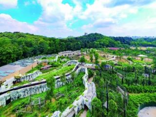 红山森林动物园南门新区基本建成