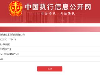 四川路航建设工程有限责任公司被执行超千万