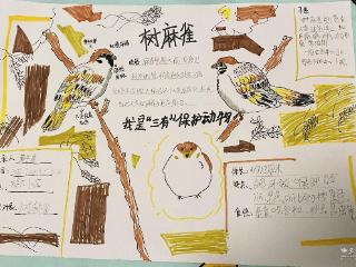 践行生长教育 华中里小学“五育”暑期实践落幕