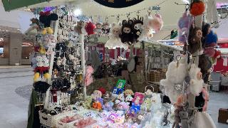 “法式”生活丨“LABUBU粉”注意！15元的“平替”买不得