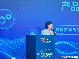 【2025数博会】贵州招商易科技服务有限公司执行董事、总经理曹阳：产数交融 智引新程