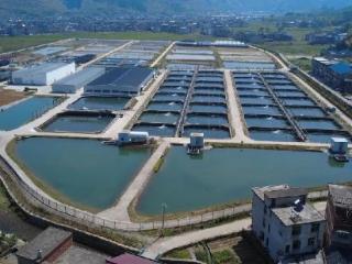 上饶市广信区上泸镇：“上”涌新潮向深蓝 “泸”水情深纳百川