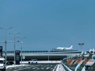旅客可携带“宠物”一同出行 东航在西安机场推出“宠物进客舱”服务