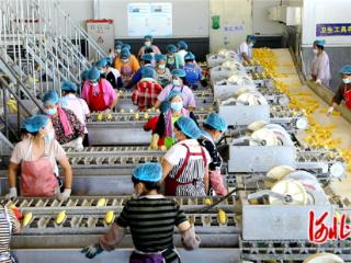 张家口：特色农产品搭上电商“三驾马车”