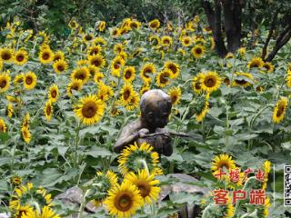 厚植生态底色 澎湃绿色动能——十堰市张湾区柏林镇书写绿色发展新答卷