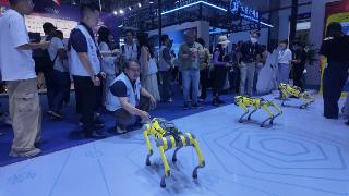 【2025数博会】马蜂窝推出AI机器狗&ldquo;智能旅行助手&rdquo; 科技赋能全新游览体验