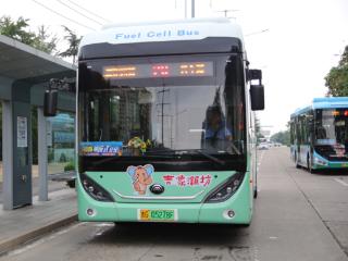 潍坊象“祥祥”全城巡游！1600辆公交车变身流动文化风景线